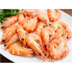 PRAWN WHOLE COOKED 13/15 S.A KINGS TACOMA 5KG #14416 OCEANIC FOOD